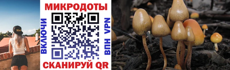 Галлюциногенные грибы Magic Shrooms Чегем